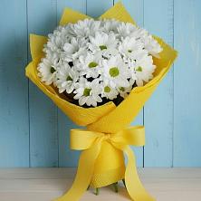 Букет цветов из:  Хризантемы в Нолинске