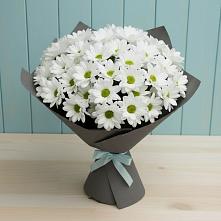 Букет цветов из:  Хризантемы в Нолинске